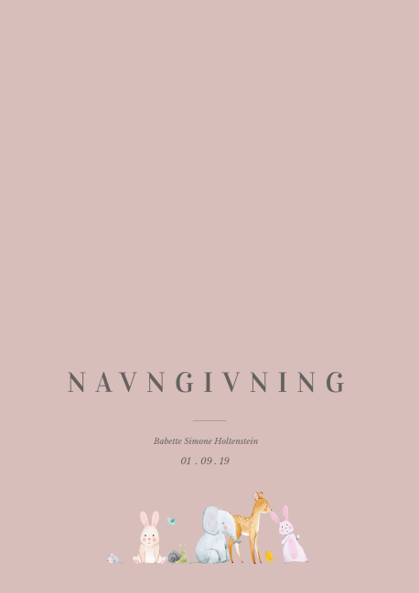 /site/resources/images/card-photos/card/Babette Navngivning/686e3d1b48e5ccd75e125374fb11aa2c_card_thumb.png